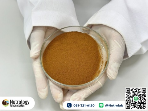 โรงงานผลิตกาแฟ อาหารเสริม